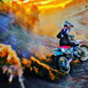 Meet your Posher, Bailey